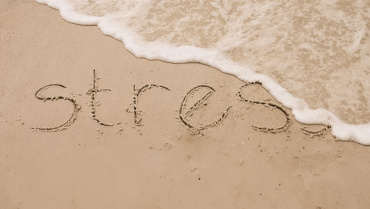 Healthy Aging Starts with Stress Reduction